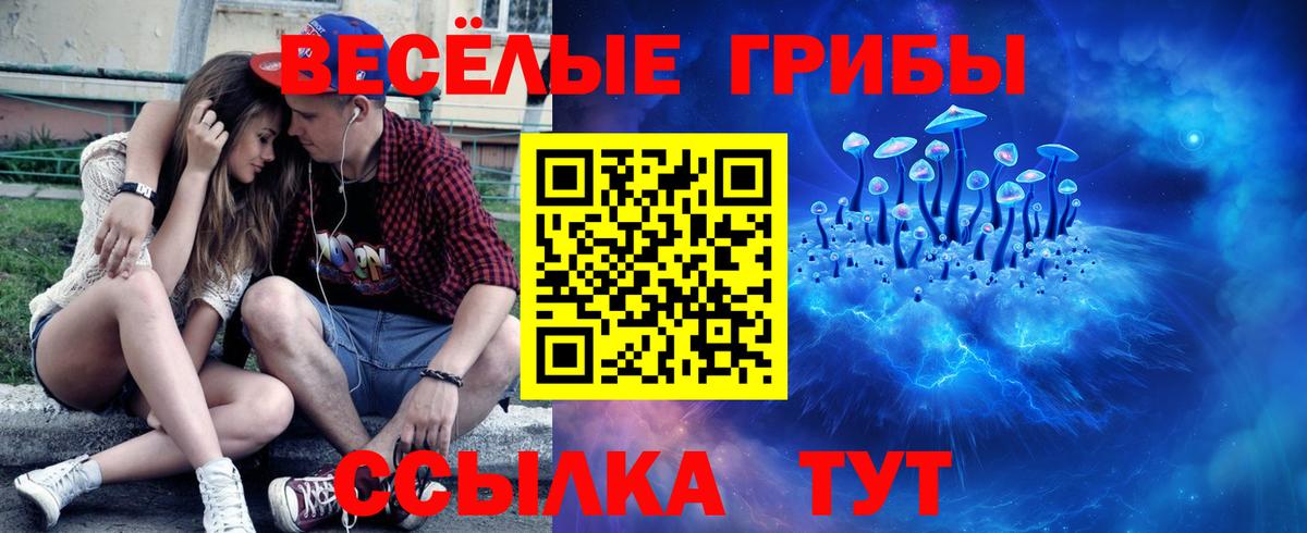 Балашов  где найти   Вход с VPN  Псилоцибиновые грибы Magic Shrooms  Псилоцибиновые грибы Psilocybine cubensis 
